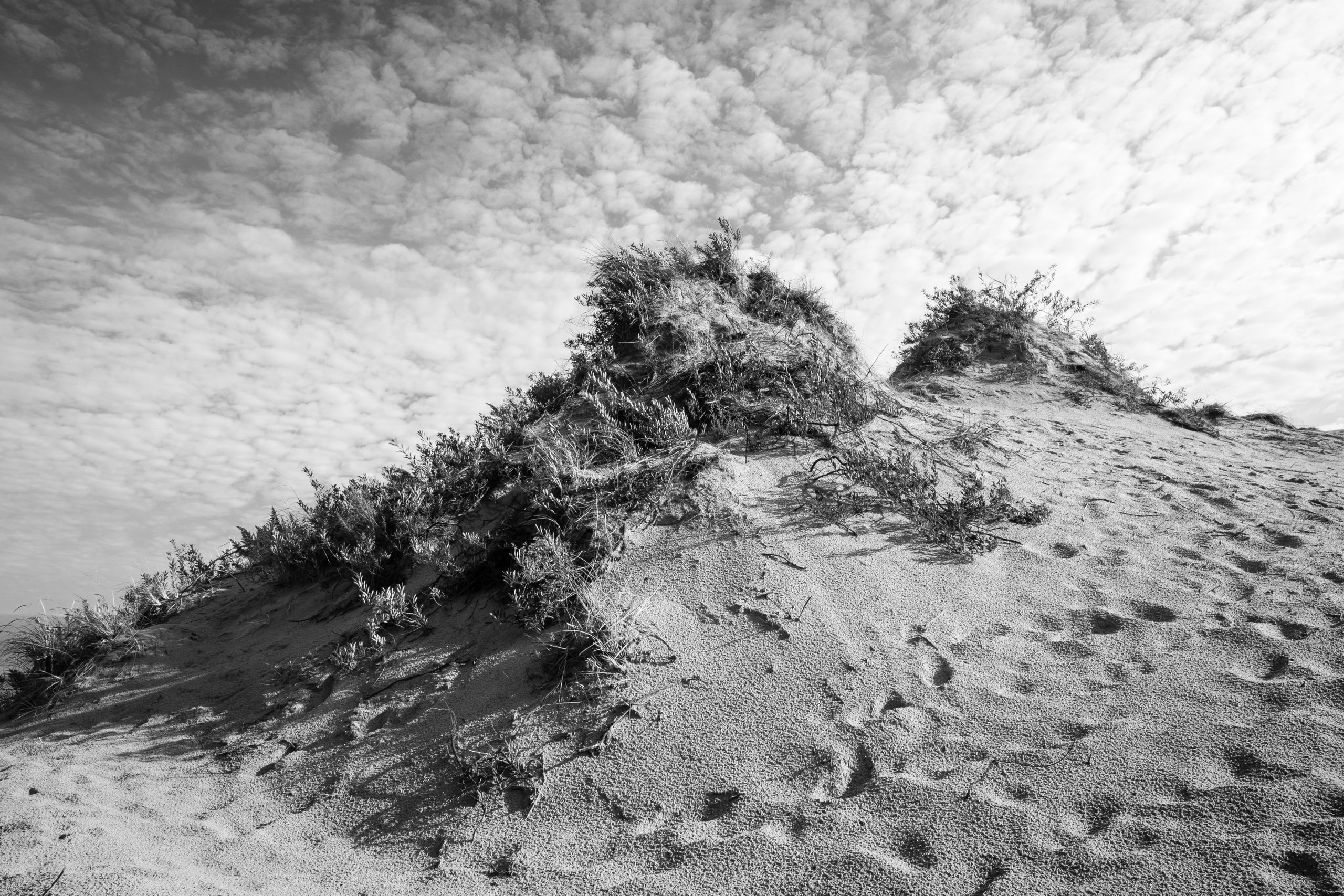 A sand dune at Sleeping Bear Dunes National Lakeshore.