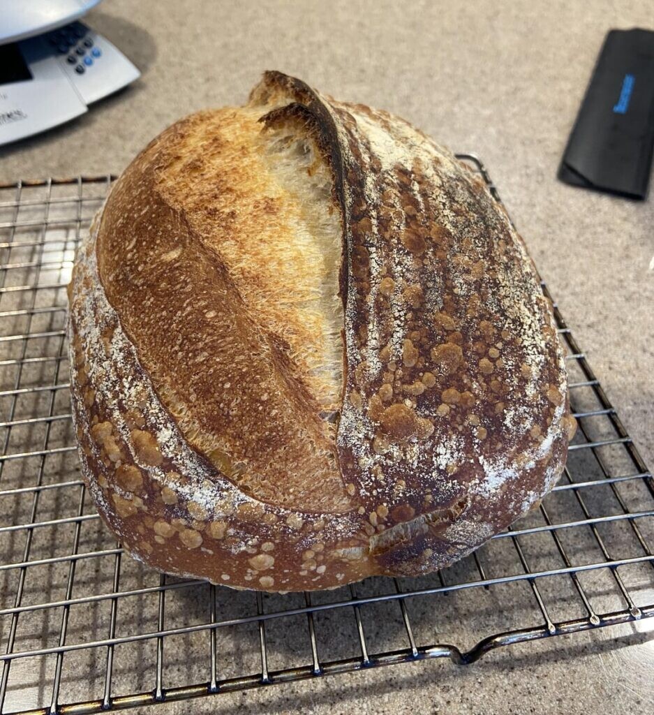 First bake after a 2 year hiatus, it feels good to be back.